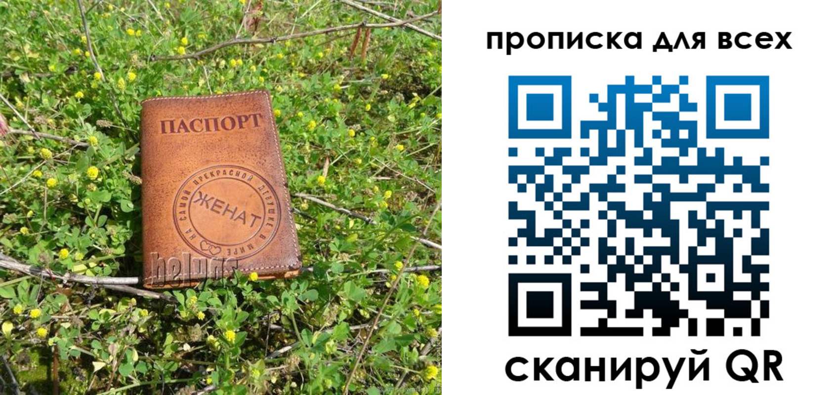 прописка поиск в Сортавале